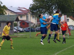 2014 Pollenfeld